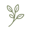 matcha-icon